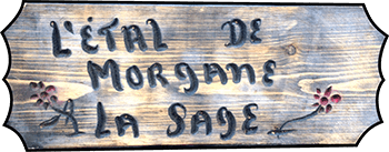 350x137px Logo MORGANE